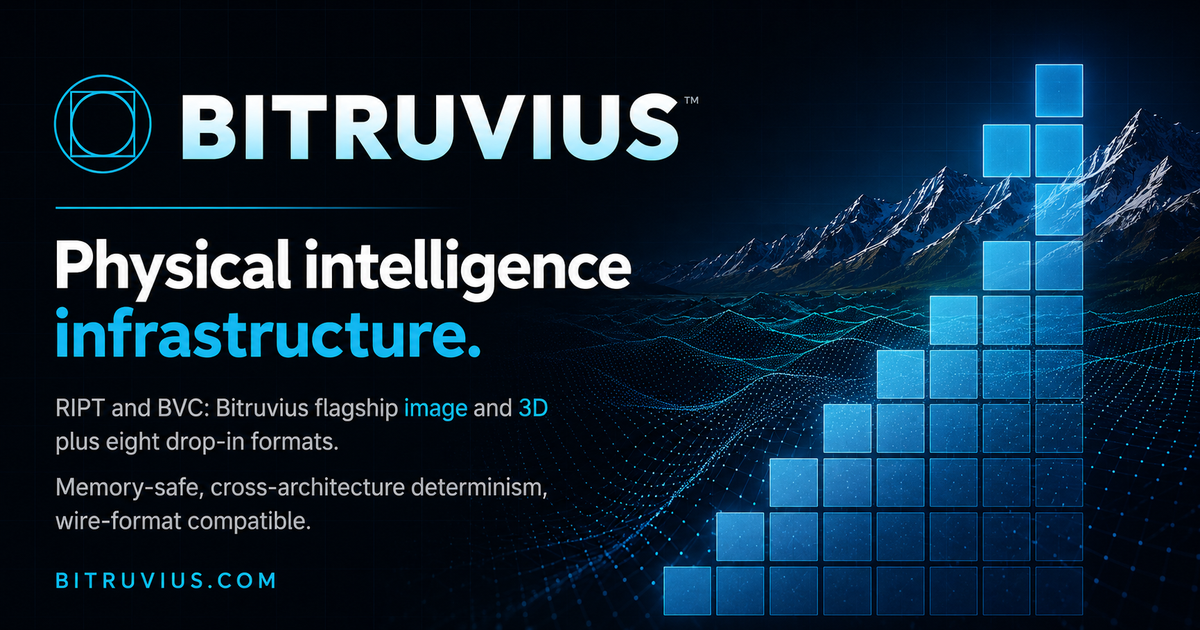 Bitruvius™ - Physical intelligence infrastructure.